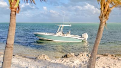 Boston Whaler 250 Dauntless | Boston Whaler